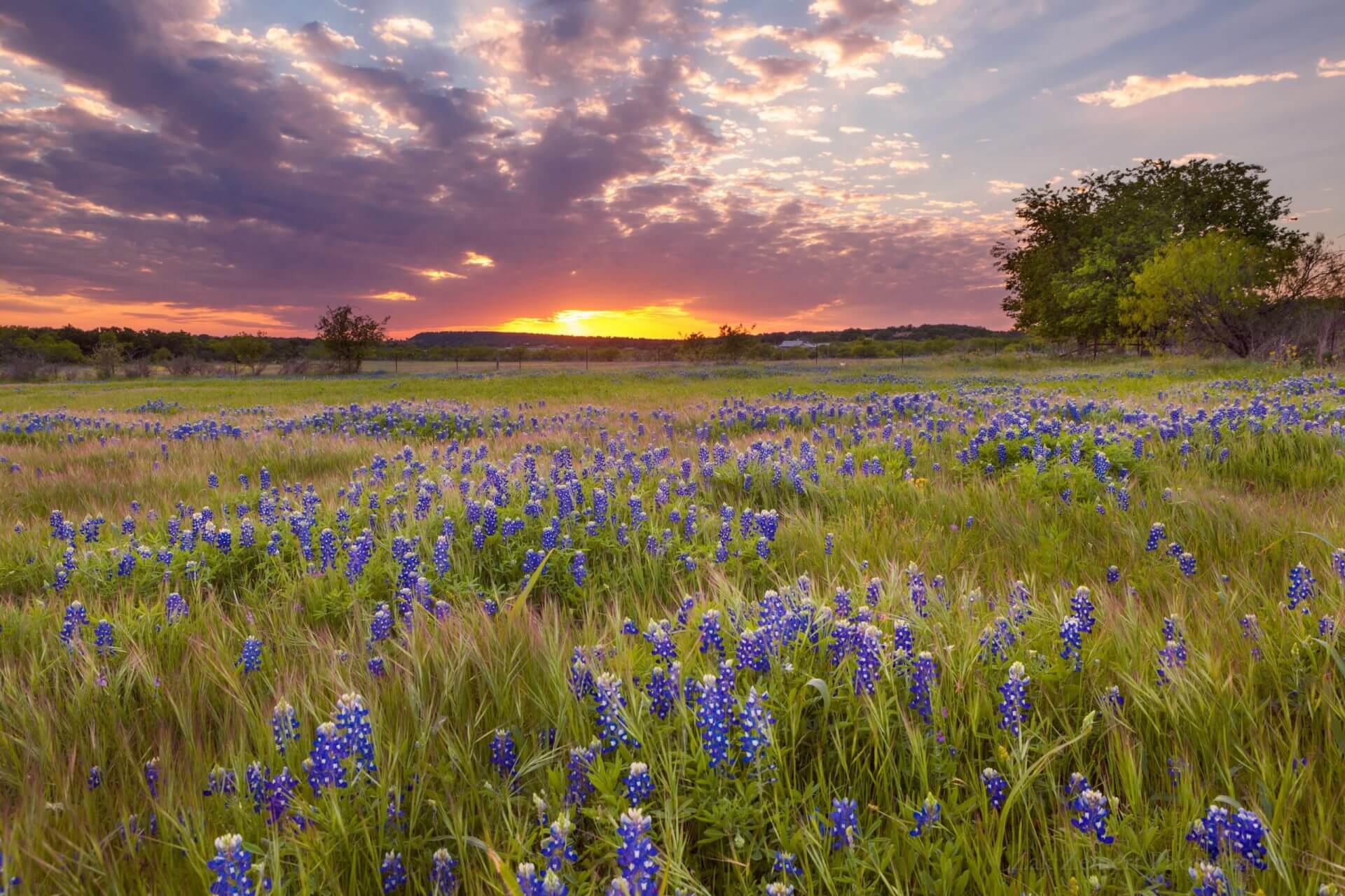 Garland Texas Bail Bonds Delta Bail Bonds Dallas Garland Texas Bail Bonds Delta Bail Bonds Dallas